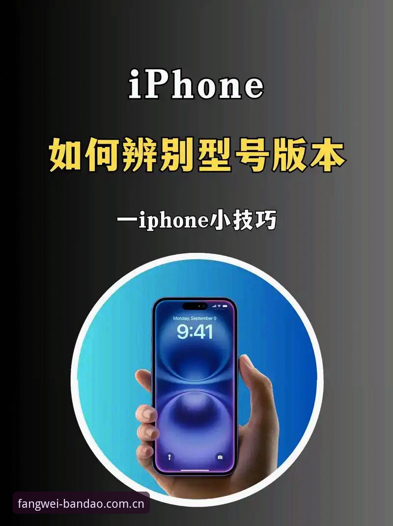 半岛体育平台CN版本详解：苹果与手机版到底差在哪？